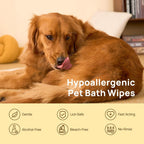 Waterless Pet Grooming Gloves