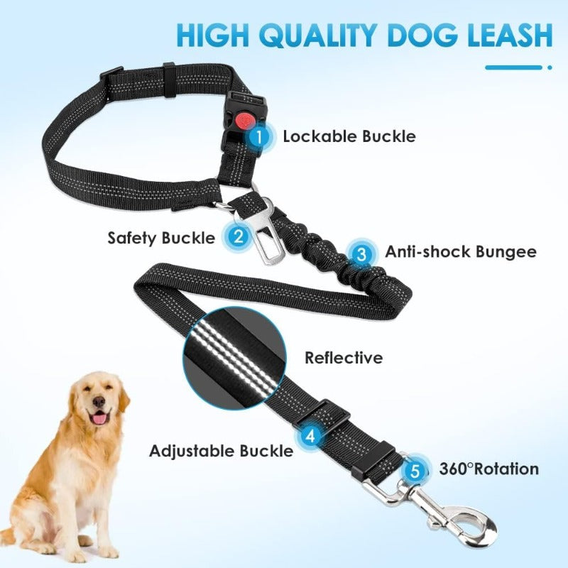 Shock-Absorbing Dog Car Restraint