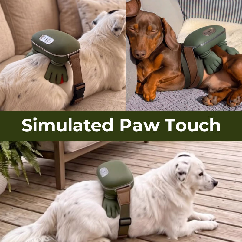 🐾 Bionic Pet Paw Heated Massager