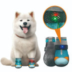 LED Light-Up Dog Boots