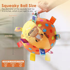 Plush Tug-and-Squeak Dog Ball