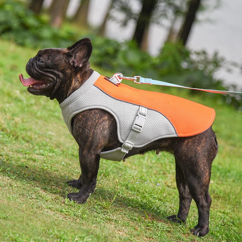 💗LAST DAY SALE 50% OFF⚡50K+ SOLD!!🐾🐕 Dog Summer Ice Cooling Prote🐕‍🦺💦