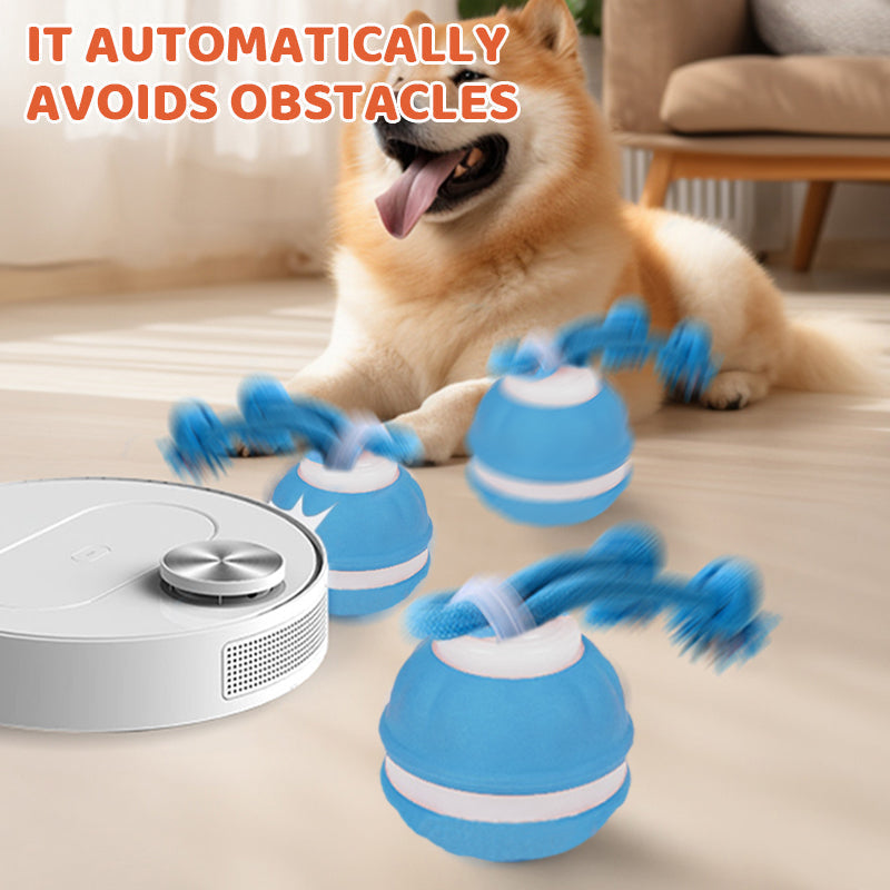 🏆 Hot Sale -49% OFF ✨Interactive Rolling Cat Ball with Bird Sounds