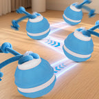 🏆 Hot Sale -49% OFF ✨Interactive Rolling Cat Ball with Bird Sounds