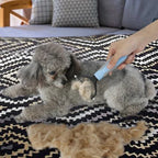 🐱🐶Premium Coat Brush for Cats and Dogs | Soft Deshedding Brush💖