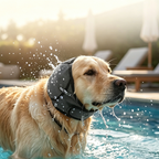 🐱LAST DAY SALE: ONLY £9.99!!🎁✨Waterproof Dog Calming Hoodie