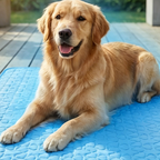 🧊⚡ Summer Sale! No-Water Pet Cooling Mat – Breathable Oxford Fabric, Fits Any Bed/Crate