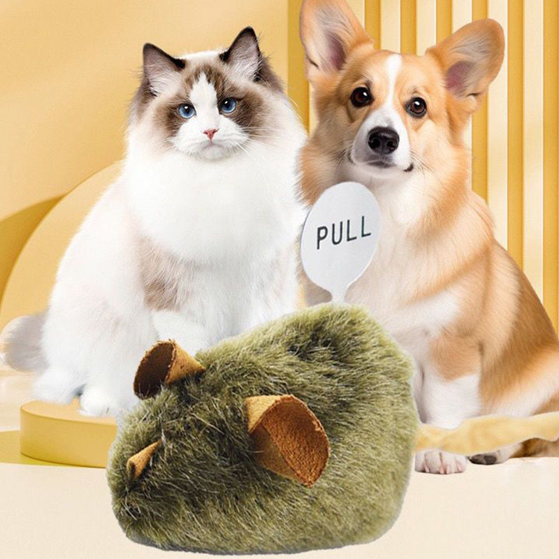 🐱🔊 Interactive sound toy – realistic, durable, safe, and energy-burning fun!