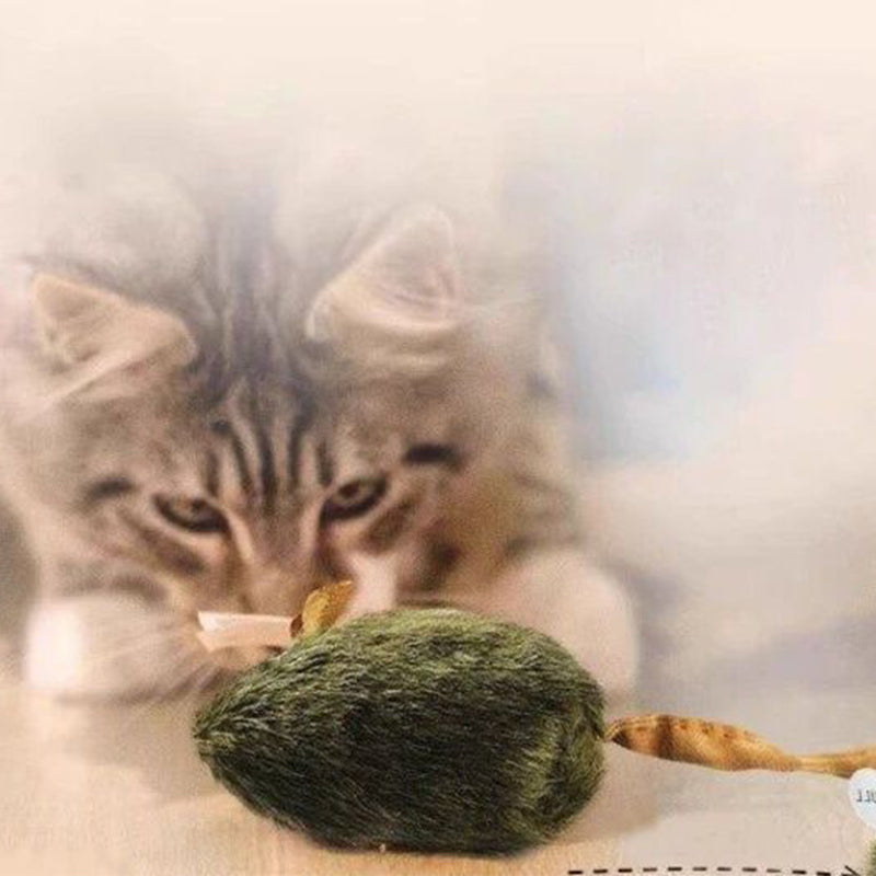 🐱🔊 Interactive sound toy – realistic, durable, safe, and energy-burning fun!