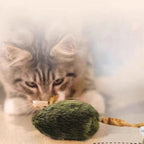 🐱🔊 Interactive sound toy – realistic, durable, safe, and energy-burning fun!