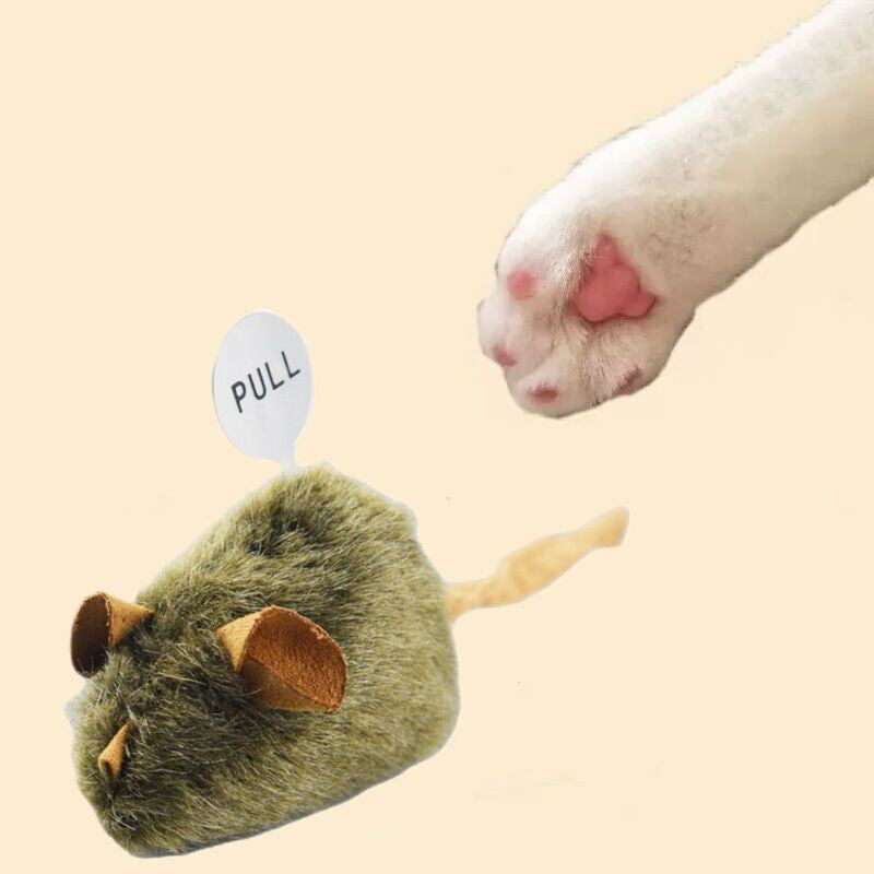 🐱🔊 Interactive sound toy – realistic, durable, safe, and energy-burning fun!