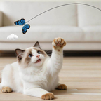 🐱🦋 Electric cat teaser – rotating butterfly, auto play, suction cup fun!