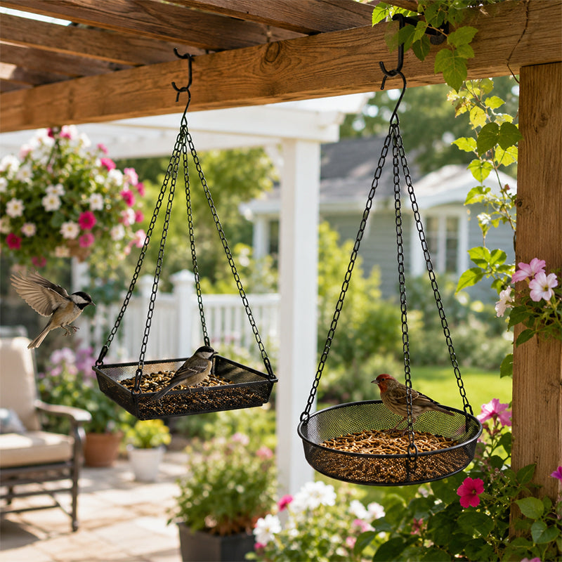 📢📢50% OFF !! ⏰Hanging Bird Feeder Tray