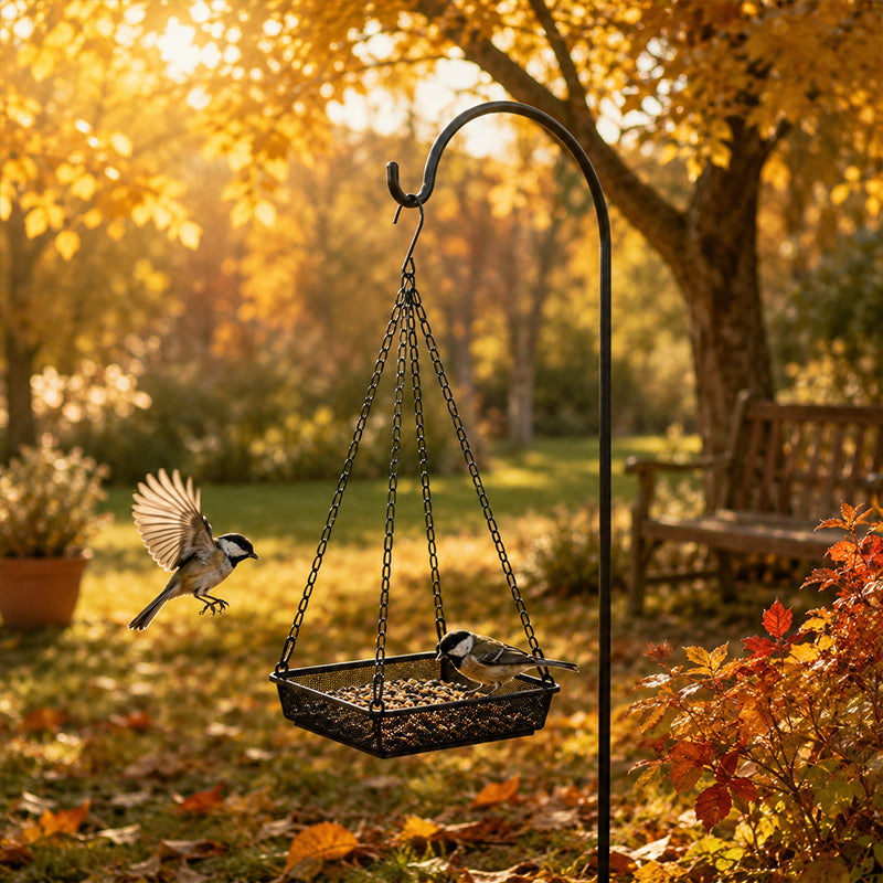 📢📢50% OFF !! ⏰Hanging Bird Feeder Tray