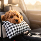 🐕🚗 Console Dog Car Seat – 50% OFF! Non-slip, portable, booster height – safe & comfy travel for your pup. 🔥🛡️