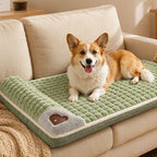 🎁2026 New Arrivals 50% OFF💥Premium Plush Pet Sleeping Mat – Ultra-soft, cozy & non-slip – Perfect for dogs & cats to rest in comfort ✨